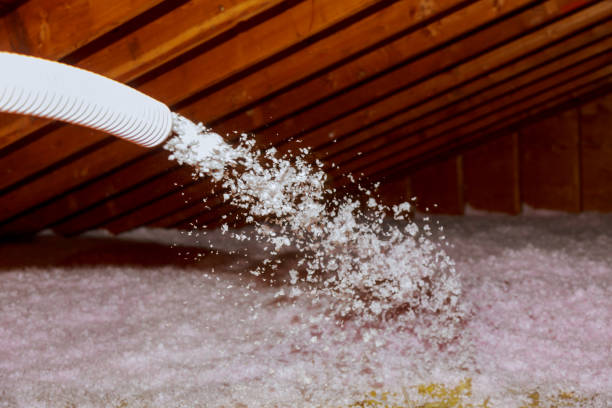 Insulation Inspection Services in Muhlenberg Park, PA