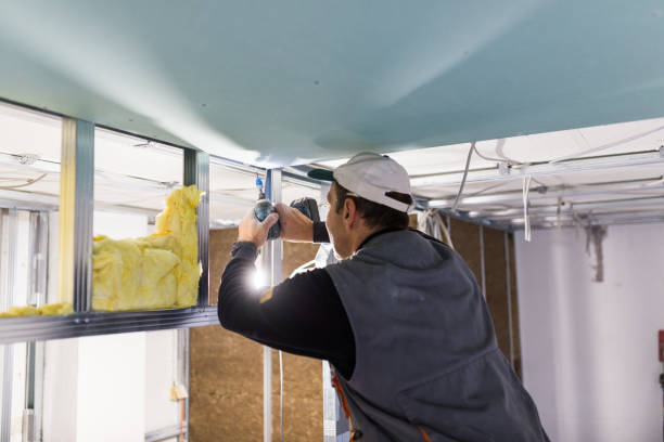 Best Insulation Replacement Services  in Muhlenberg Rk, PA