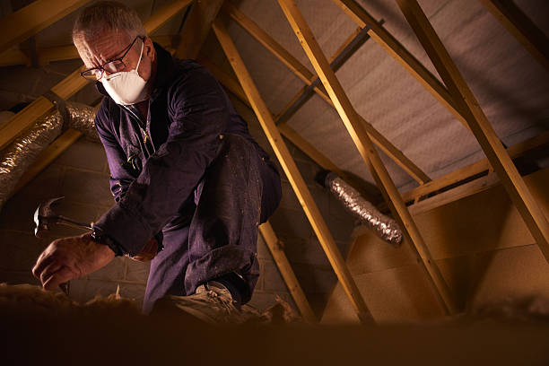 Best Local Insulation Services  in Muhlenberg Rk, PA